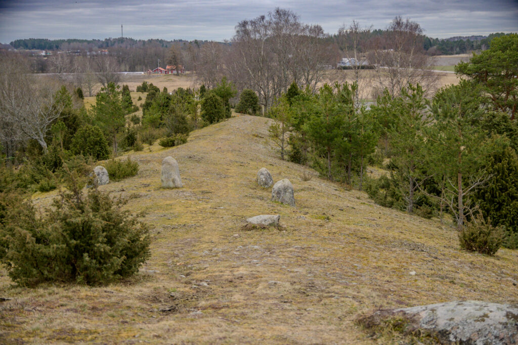 Gravfält med stenar på Vånsjöbroåsen med ett lantligt landskap i bakgrunden.