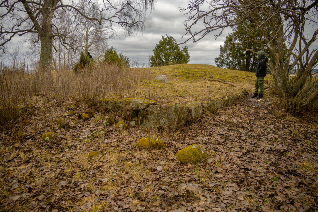 Besökare betraktar naturen på Vånsjöbroåsen, omgiven av vintergula gräser och stenar, med en tät skog i bakgrunden.