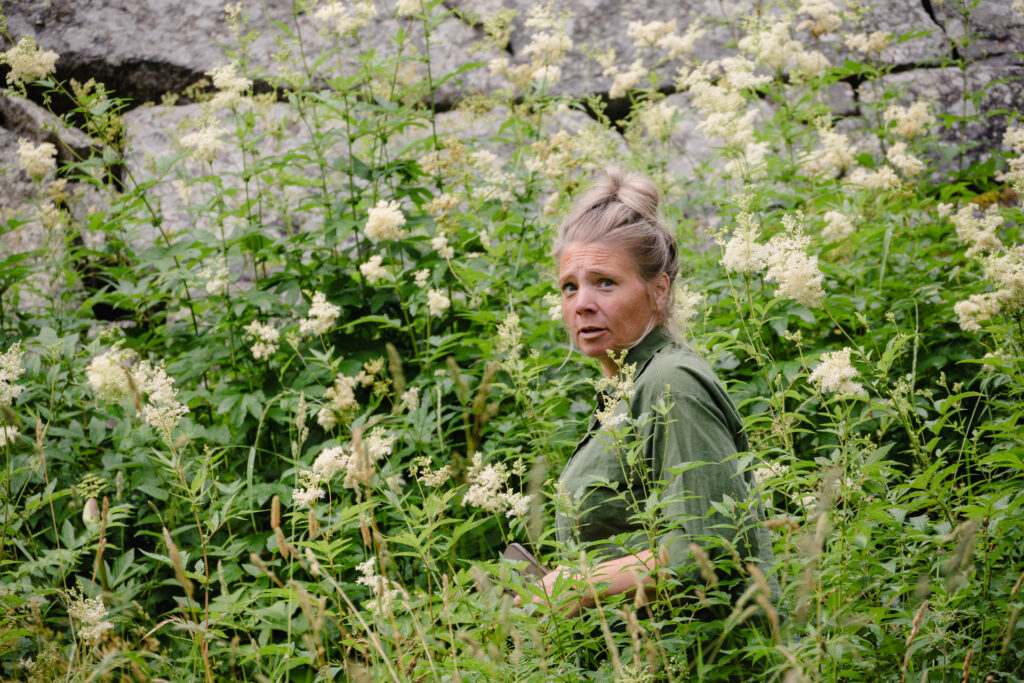 En utforskare bland vildblommor vid Ytterkvarn.