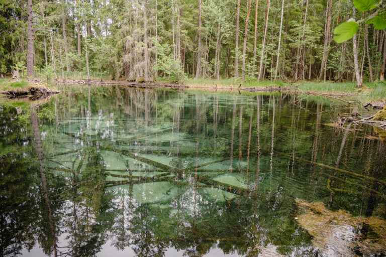 Kristallklart vatten bubblar upp från botten av en källa vid Ingbokällorna, med en blågrön färg.