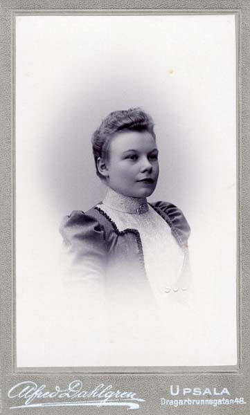 Alfred Dahlgren - Uppsala - 206A - Grosshandlaren